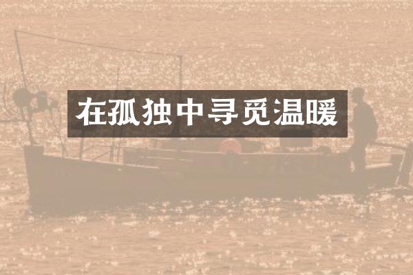 在孤独中寻觅温暖