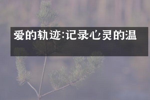 爱的轨迹:记录心灵的温暖