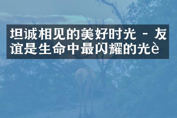 坦诚相见的美好时光 - 友谊是生命中最闪耀的光芒