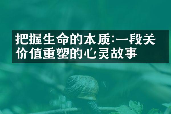 把握生命的本质:一段关于价值重塑的心灵故事