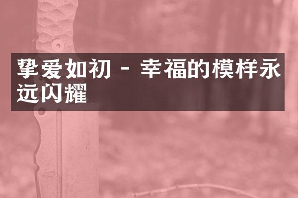 挚爱如初 - 幸福的模样永远闪耀