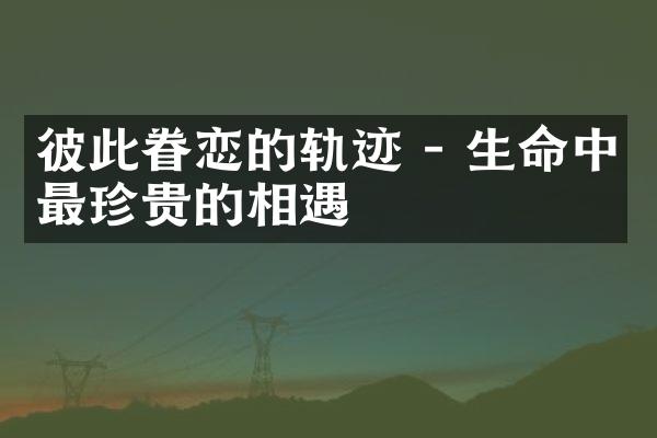 彼此眷恋的轨迹 - 生命中最珍贵的相遇