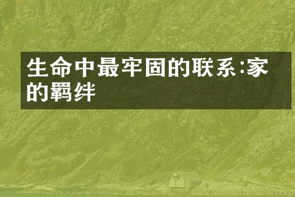 生命中最牢固的联系:家人的羁绊