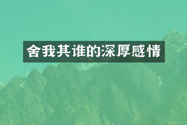 舍我其谁的深厚感情