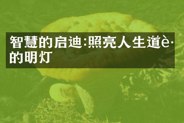 智慧的启迪:照亮人生道路的明灯