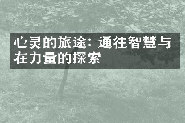 心灵的旅途: 通往智慧与内在力量的探索