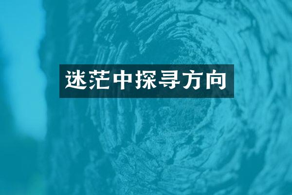迷茫中探寻方向