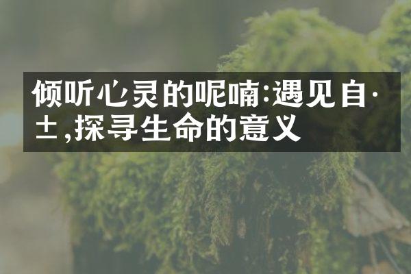 倾听心灵的呢喃:遇见自己,探寻生命的意义