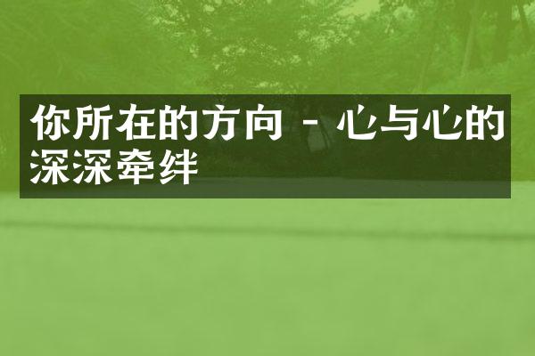 你所在的方向 - 心与心的深深牵绊