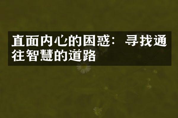 直面内心的困惑：寻找通往智慧的道路