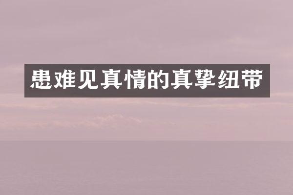 患难见真情的真挚纽带