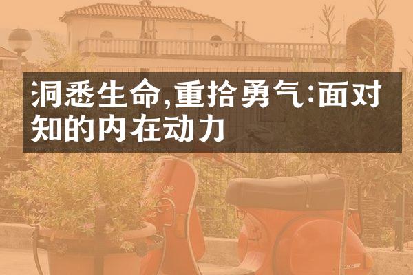 洞悉生命,重拾勇气:面对未知的内在动力