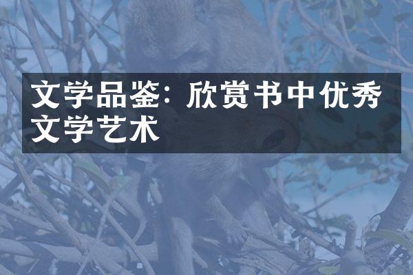 文学品鉴: 欣赏书中优秀的文学艺术