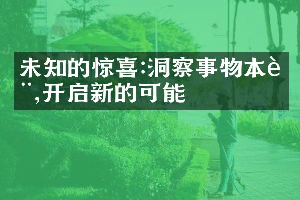 未知的惊喜:洞察事物本质,开启新的可能