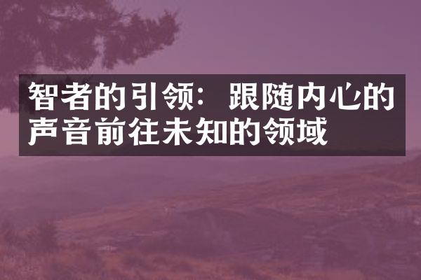 智者的引领：跟随内心的声音前往未知的领域