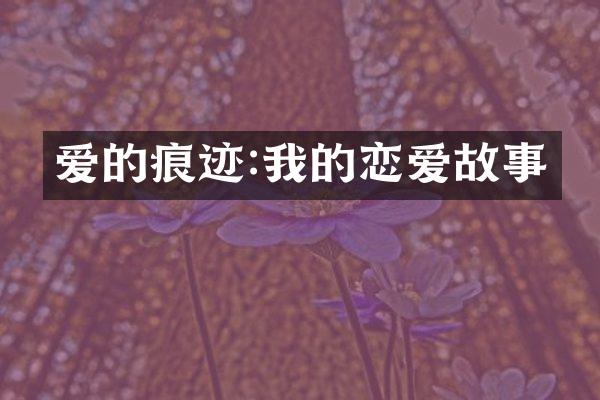 爱的痕迹:我的恋爱故事