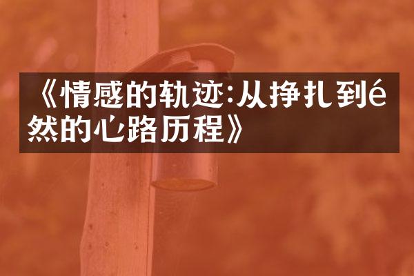《情感的轨迹:从挣扎到释然的心路》