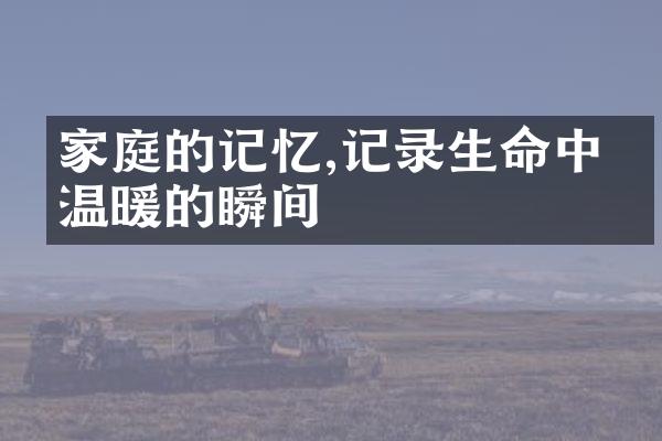 家庭的记忆,记录生命中最温暖的瞬间