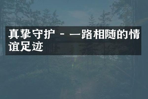 真挚守护 - 相随的情谊足迹