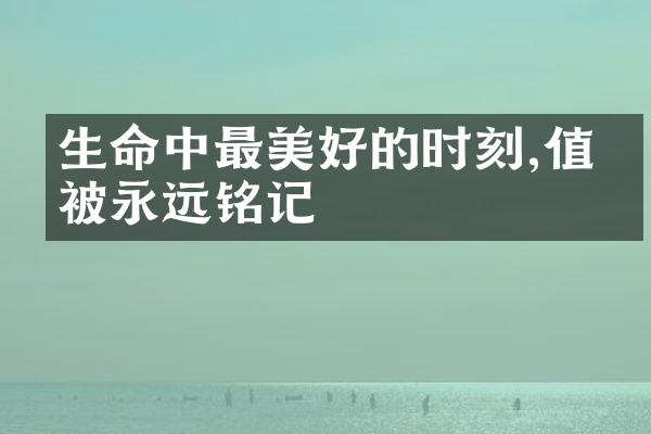 生命中最美好的时刻,值得被永远铭记