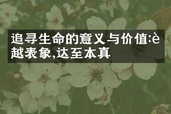 追寻生命的意义与价值:超越表象,达至本真