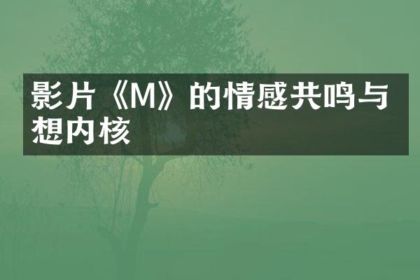 影片《M》的情感共鸣与思想内核