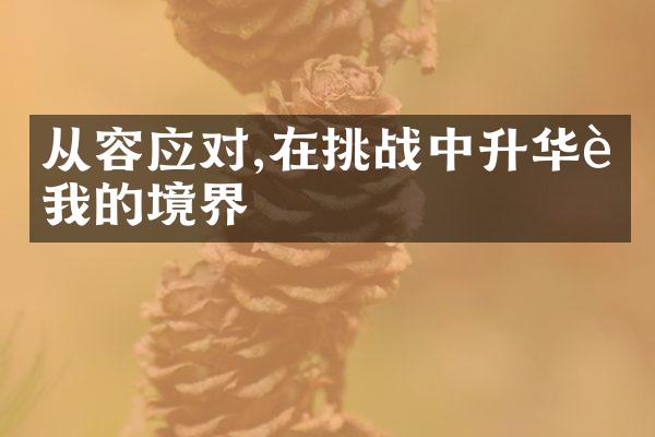 从容应对,在挑战中升华自我的境界