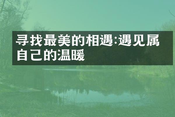 寻找最美的相遇:遇见属于自己的温暖