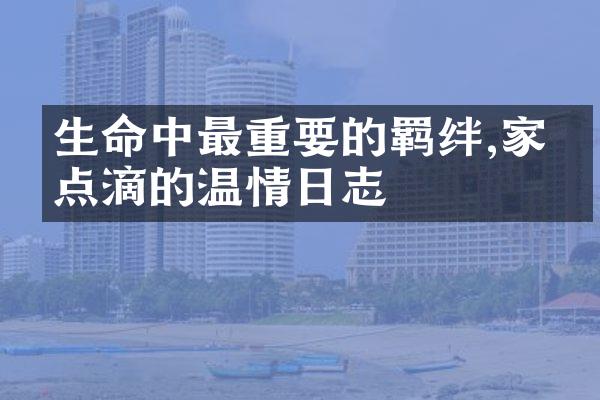 生命中最重要的羁绊,家庭点滴的温情日志