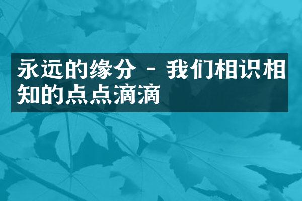 永远的缘分 - 我们相识相知的点点滴滴
