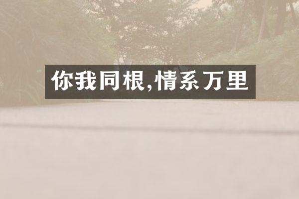 你我同根,情系万里