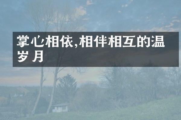 掌心相依,相伴相互的温暖岁月