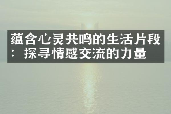 蕴含心灵共鸣的生活片段：探寻情感交流的力量