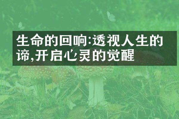 生命的回响:透视人生的真谛,开启心灵的觉醒
