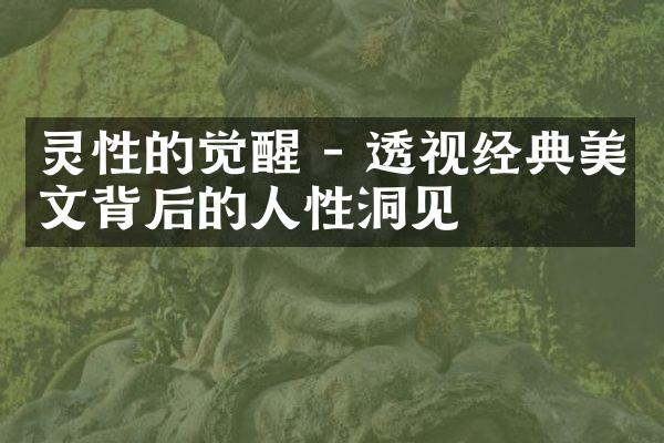 灵性的觉醒 - 透视经典美文背后的人性洞见