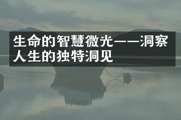 生命的智慧微光&mdash;&mdash;洞察人生的独特洞见