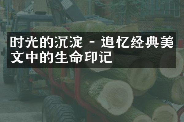时光的沉淀 - 追忆经典美文中的生命印记