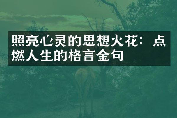 照亮心灵的思想火花：点燃人生的格言金句