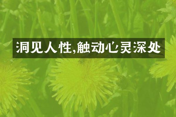 洞见人性,触动心灵深处