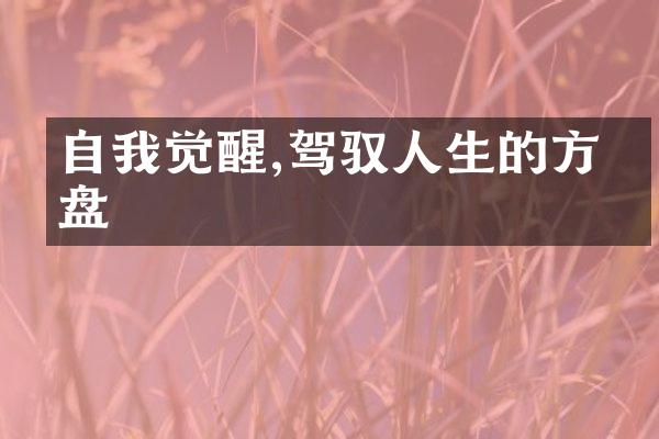 自我觉醒,驾驭人生的方向盘