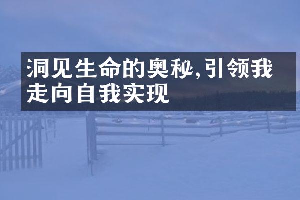 洞见生命的奥秘,引领我们走向自我实现