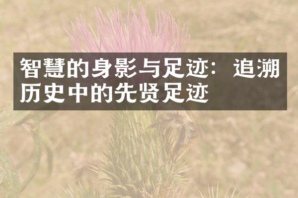 智慧的身影与足迹：追溯历史中的先贤足迹