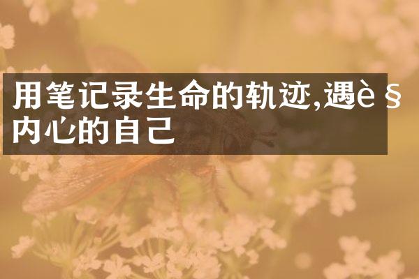 用笔记录生命的轨迹,遇见内心的自己