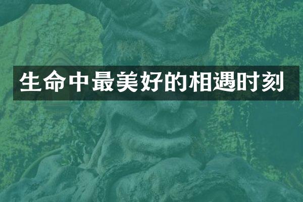 生命中最美好的相遇时刻