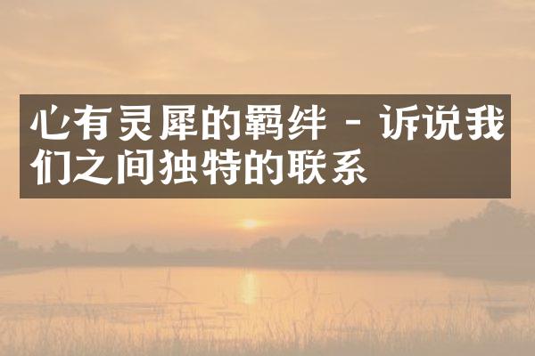 心有灵犀的羁绊 - 诉说我们之间独特的联系