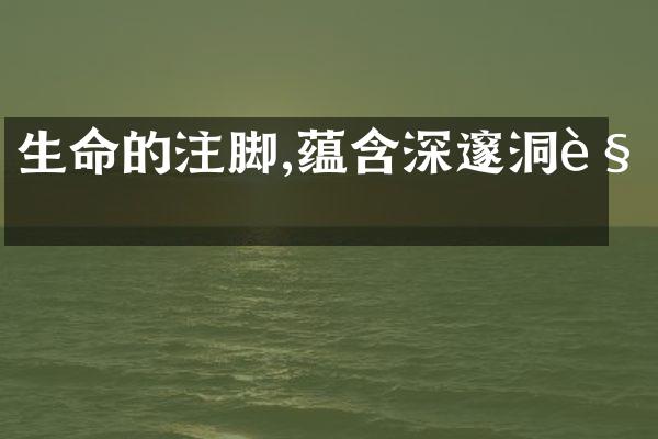 生命的注脚,蕴含深邃洞见