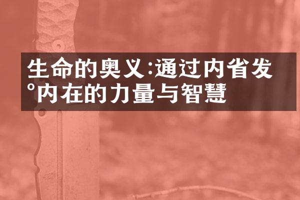 生命的奥义:通过内发现内在的力量与智慧