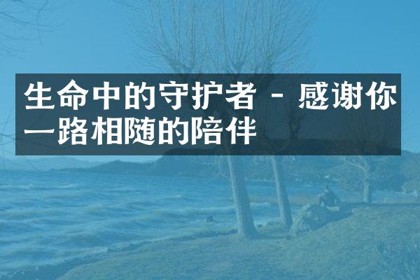 生命中的守护者 - 感谢你相随的陪伴