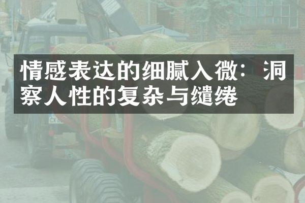 情感表达的细腻入微：洞察人性的复杂与缱绻
