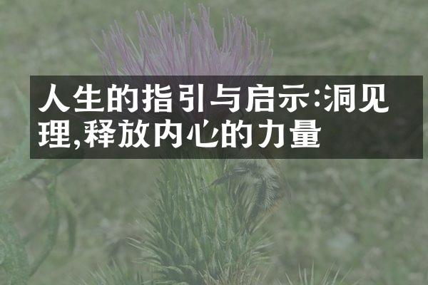 人生的指引与启示:洞见真理,释放内心的力量
